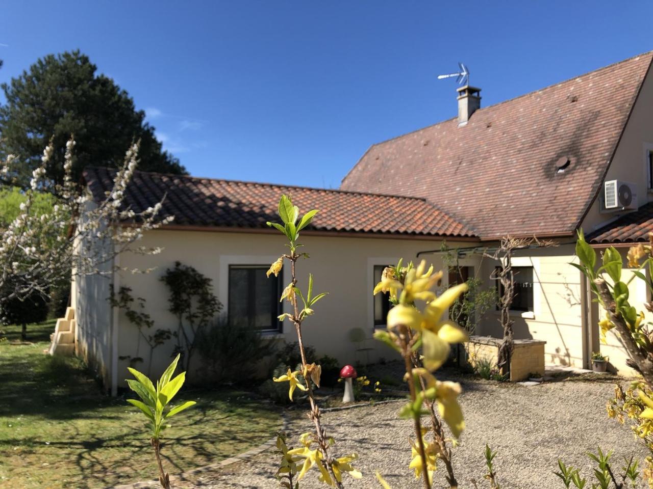 Chambre D'Hotes L'Olivianne Sarlat Exterior foto